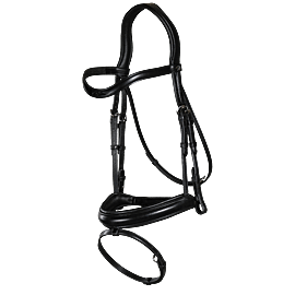 Dy'on Noseband Bridle With Flash - Matte M