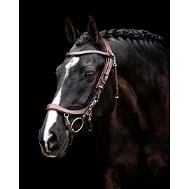 Presteq Bridle Faysport 