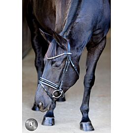 Lj Pro Selected Hoofdstel Sunline Black | Lak 