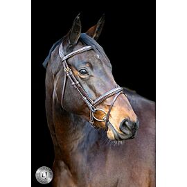 Lj Pro Selected Hoofdstel Heritage 