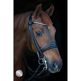 LJ Double Bridle Limited | Round Stitched| Stellux Browband