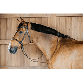 Dy'on Bitless Bridle 