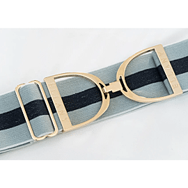 Ellany Stirrup Elastic Belt | Sage Stripes | Wide Strap