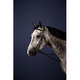 Dy'on Bridle With German Rope Noseband | New English Collection