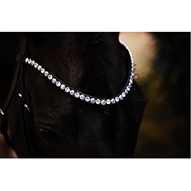 Monère Equestrian Stirnrieme Classic Xl