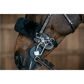 Dy'on Protection Tandem 