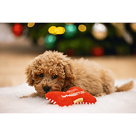 Beeztees Plush Christmas bone | 16 cm