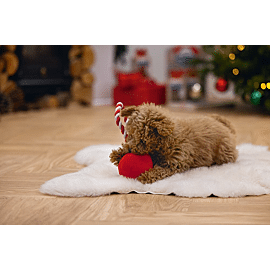 Beeztees Boule de Noël en peluche Jingle