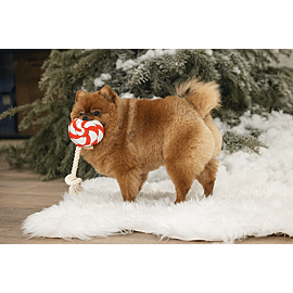 Beeztees Hsp Christmas lollipop | 25 cm 