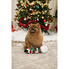 Beeztees Plush Snuffle Santa | 27 cm