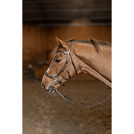 HFI Bride Hackamore 