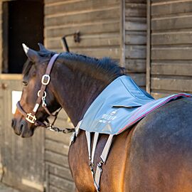 Equilibrium Massage Pad Heatsense