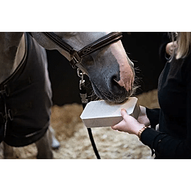 Cavalor Stable Rocky