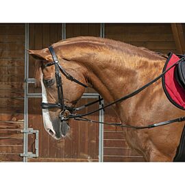 Norton Pro Short Elastic Side Reins With Pulleys 