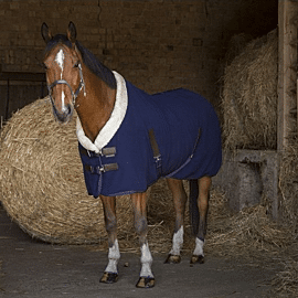 Equitheme Polar Fleece Deken Teddy