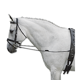 Side Reins Elastic