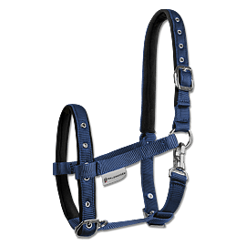 Fohlenhalfter Comfort