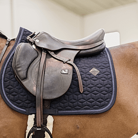 Kentucky Saddle Pad Glitter Rope | AP