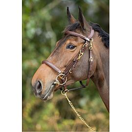 HFI Combo Hoofdstel/Halster