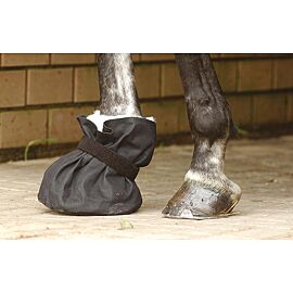 Busse Poultice Boot