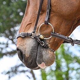 Jump-In Noseband| Chain