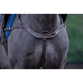 Dy'on Anatomisch Borsttuig - D Collectie