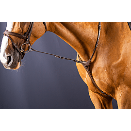 Dy'on Standing Martingale Attachment