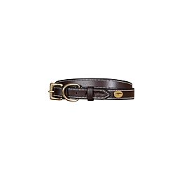 Dy'on Dog Collar | Flat Leather