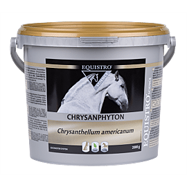 Equistro Chrysanphyton