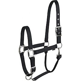 Equi-thème éclat headcollar