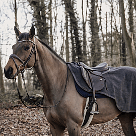 Kentucky Uitrijdeken | Heavy Fleece
