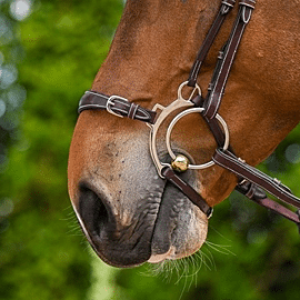 Jump-In Hackamore Noseband