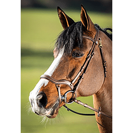 HFI Hoofdstel Techno Bridle 