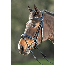 HFI Shiny Bridle