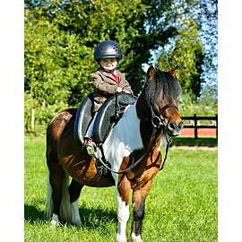Inky Dinky Saddle Synthetic
