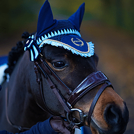 Joline Oornetje Pony 