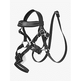 LeMieux Toy Pony Grackle Bridle
