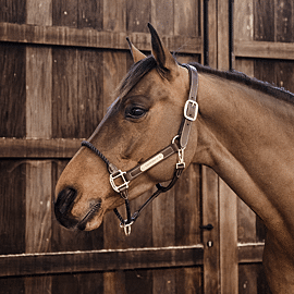 Kentucky Leather halter | Rope 
