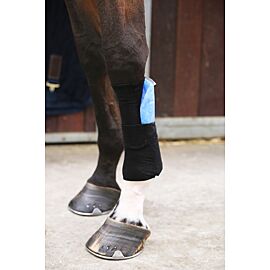 Kentucky Tendon Grip Sock
