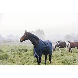 Kentucky Turnout All Weather Deken Comfort | Waterproof | 0 g