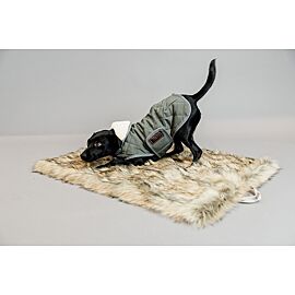 Kentucky Hundebett | To Go Blanket | Fuzzy