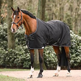 Dominick Stable Rug | 350G