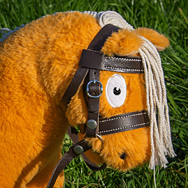 Crafty Ponies Hoofdstel Premium | Leer 