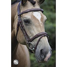 LJ Pro Selected Legacy Bridle