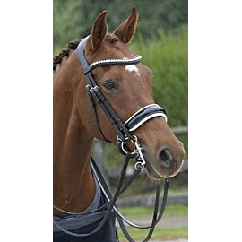LJ bridle S&T superior patent with crystals