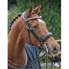 LJ Double Bridle Pro Selected Superior Crystal