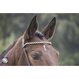 LJ Training Bridle with Clips