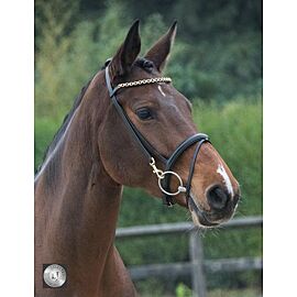 LJ Training Bridle with Clips