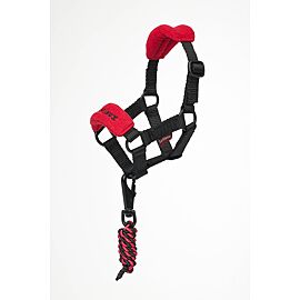 LeMieux Toy Pony Halster + Touw 