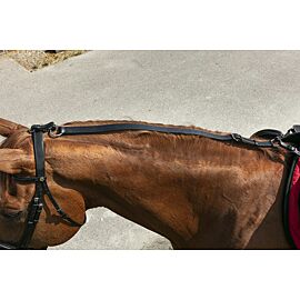 Norton Anti-Knock /Train Aid
